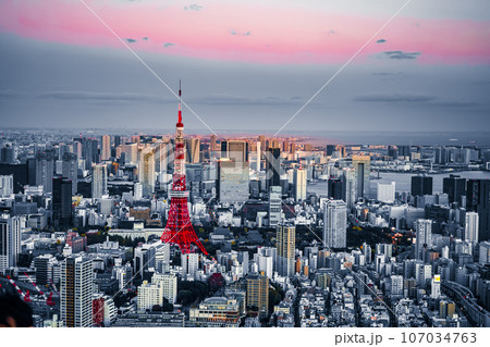 東京都の街並みと東京タワー 107034763