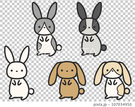 各種兔子套裝 107034950