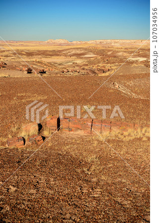 Rugged and Desolate Landscape Petrified Forest Arizona 107034956