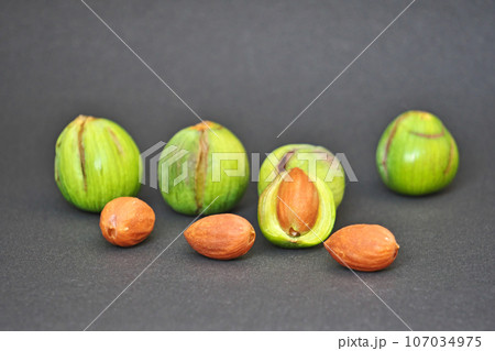 緑色のカヤの実と茶色の種子（秋、九月） 107034975