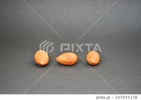 茶色のカヤの種子（秋、九月） 107035156