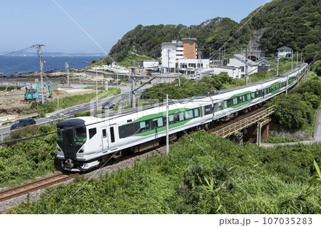 特急新宿さざなみE257系と東京湾 特急新宿さざなみE257系と東京湾 107035283