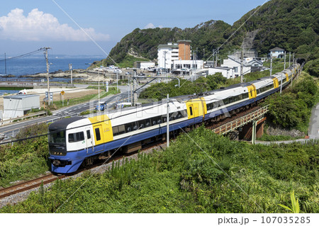 特急新宿さざなみ255系と東京湾 特急新宿さざなみ255系と東京湾 107035285