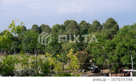 A tree park in a hospital of Royal Thai Naval Millitary Base in Sattahip district A tree park in a hospital of Royal Thai Naval Millitary Base in Sattahip district 107035398