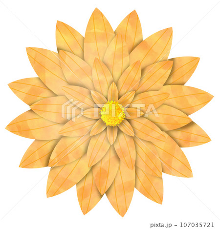 flower retro isolated on white flower retro isolated on white 107035721