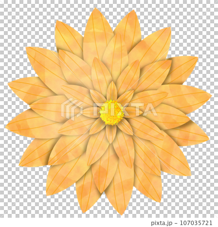 flower retro isolated on white flower retro isolated on white 107035721