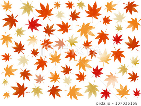 秋　紅葉のパターン模様 107036168