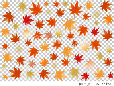 秋　紅葉のパターン模様 107036168