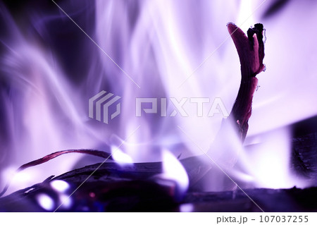 炎の中で浮かび上がる木の破片 パープル2 炎の中で浮かび上がる木の破片 パープル2 107037255