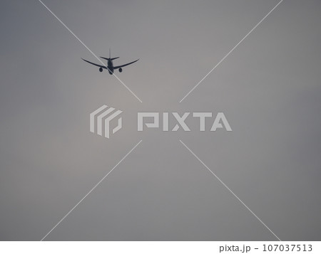 夕刻の空、羽田を目指して飛ぶジェット旅客機 107037513