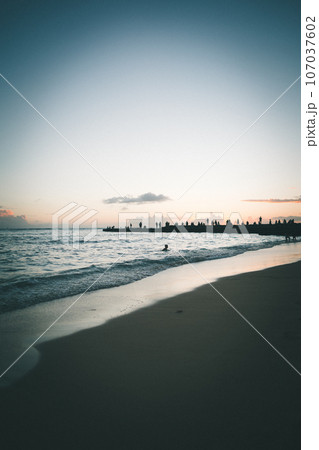 ワイキキ 107037602