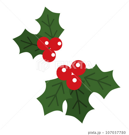 クリスマスのヒイラギのイラスト 107037780