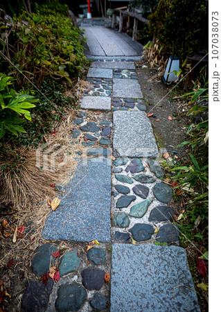 神泉苑の秋、法成就池のほとり、石畳の小道 107038073