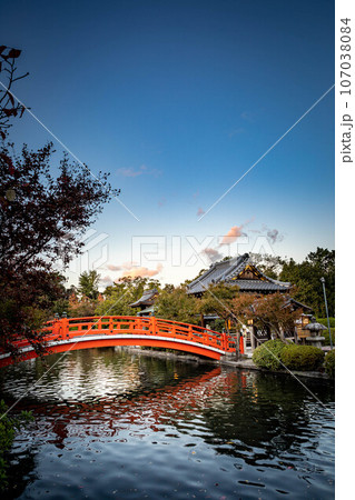 神泉苑の秋、法成就池に映る朱塗りの法成橋、秋の夕暮れの風景 神泉苑の秋、法成就池に映る朱塗りの法成橋、秋の夕暮れの風景 107038084