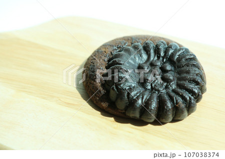 薬菓クッキー（チョコ味）（韓国） 107038374