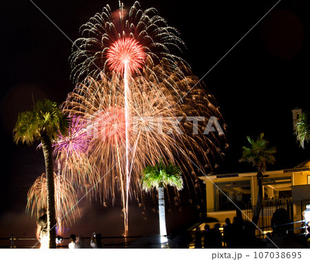 博多湾芸術花火大会 No.9 博多湾芸術花火大会 No.9 107038695