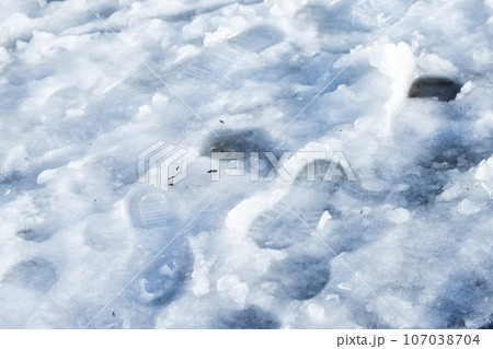 Footprints in wet snowy road, close up photo 107038704