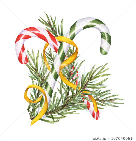 Red, green candy canes and spruce branch with gold ribbon. Christmas stick, caramel cane with striped ornate, Xmas sugar lollipop. Evergreen plant. Watercolor illustration for winter decoration Red, green candy canes and spruce branch with gold ribbon. Christmas stick, caramel cane with striped ornate, Xmas sugar lollipop. Evergreen plant. Watercolor illustration for winter decoration 107040061