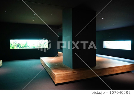 moyuk SAPPORO内にある水族館『AOAO SAPPORO（アオアオ サッポロ）』 107040303