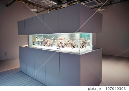 moyuk SAPPORO内にある水族館『AOAO SAPPORO（アオアオ サッポロ）』 107040308