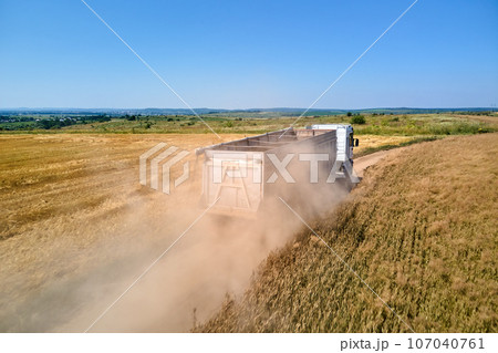 Aerial view of lorry cargo truck driving on dirt road between agricultural wheat fields. Transportation of grain after being harvested by combine harvester during harvesting season 107040761