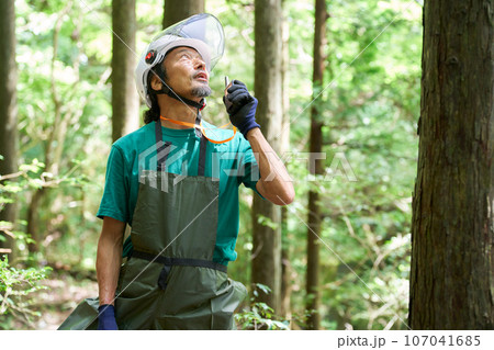 森にてトランシーバーで話すヘルメット着用の男性 森林官 自然保護官 イメージ 森にてトランシーバーで話すヘルメット着用の男性 森林官 自然保護官 イメージ 107041685