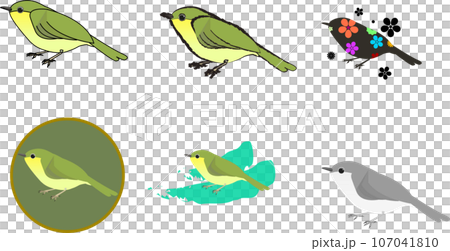 可愛的夜鶯插圖集 107041810