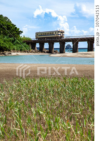 宮崎県日南市隈谷川鉄橋を走行する日南線キハ40 107042515