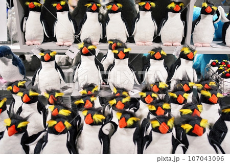イワトビペンギンのぬいぐるみ イワトビペンギンのぬいぐるみ 107043096