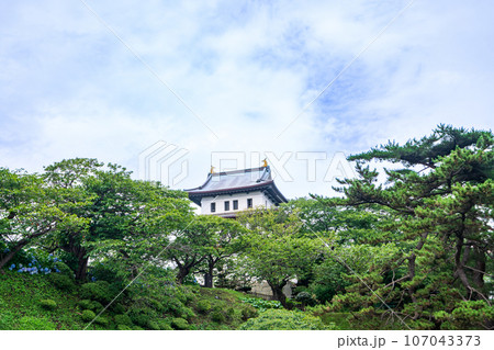 (北海道)紫陽花咲く松前城 (北海道)紫陽花咲く松前城 107043373