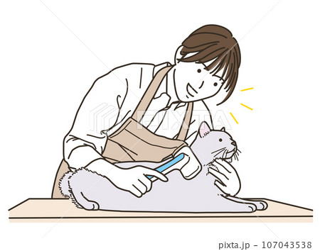 猫の毛並みを整えるトリマーの女性 猫の毛並みを整えるトリマーの女性 107043538