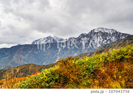 八方アルペンライン グラートクワッドリフトから望む五竜岳と鹿島槍ヶ岳 八方アルペンライン グラートクワッドリフトから望む五竜岳と鹿島槍ヶ岳 107043756