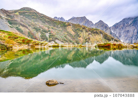 小雨の八方池 小雨の八方池 107043888