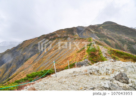 八方池から唐松岳への登山道 八方池から唐松岳への登山道 107043955