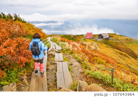 八方尾根自然研究路を下る 107043964