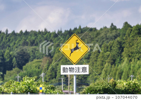 動物注意標識 鹿 動物注意標識 鹿 107044070