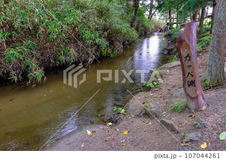 カッパ淵3 107044261