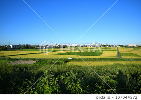 荒川土手からの風景 さいたま新都心方面 荒川沿い 荒川土手からの風景 さいたま新都心方面 荒川沿い 107044572