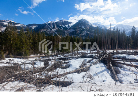 Tatras mountain range in early spring 107044891