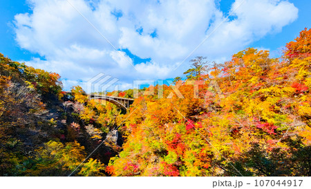 鳴子峡の紅葉 鳴子峡の紅葉 107044917