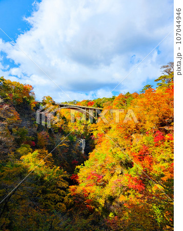 鳴子峡の紅葉 鳴子峡の紅葉 107044946