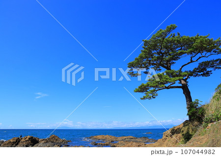美しい海岸の風景 美しい海岸の風景 107044982