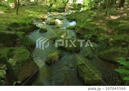 成田山新勝寺と成田山公園 成田山新勝寺と成田山公園 107045560