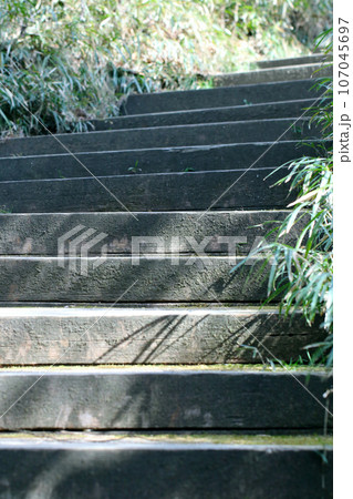 初夏、緑地の自然公園内に整備されたコンクリート階段 107045697