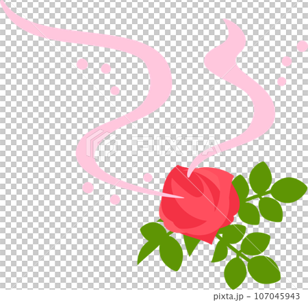 香りを放つ薔薇の花 107045943