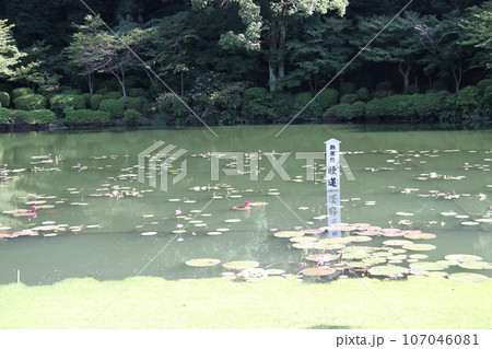 別府温泉の静かな池 別府温泉の静かな池 107046081