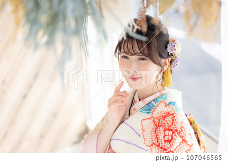 着物 総絞りの振袖を着ている女性のポートレート 着物 総絞りの振袖を着ている女性のポートレート 107046565