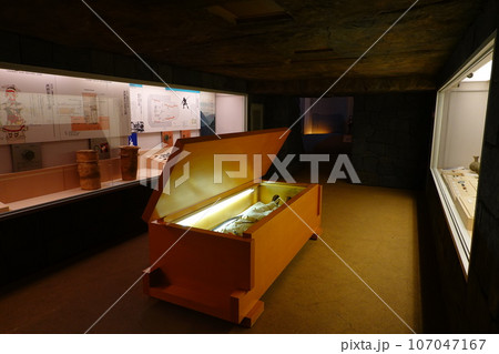 多摩川台公園古墳展示室 107047167