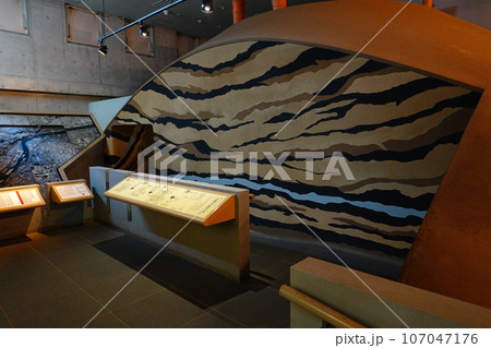 多摩川台公園古墳展示室 多摩川台公園古墳展示室 107047176