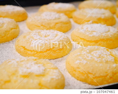 ビスキュイ　焼き菓子 107047461